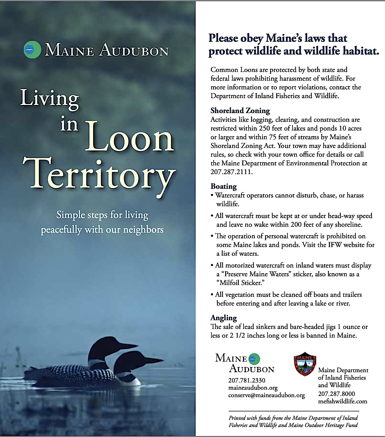 Living with Loons